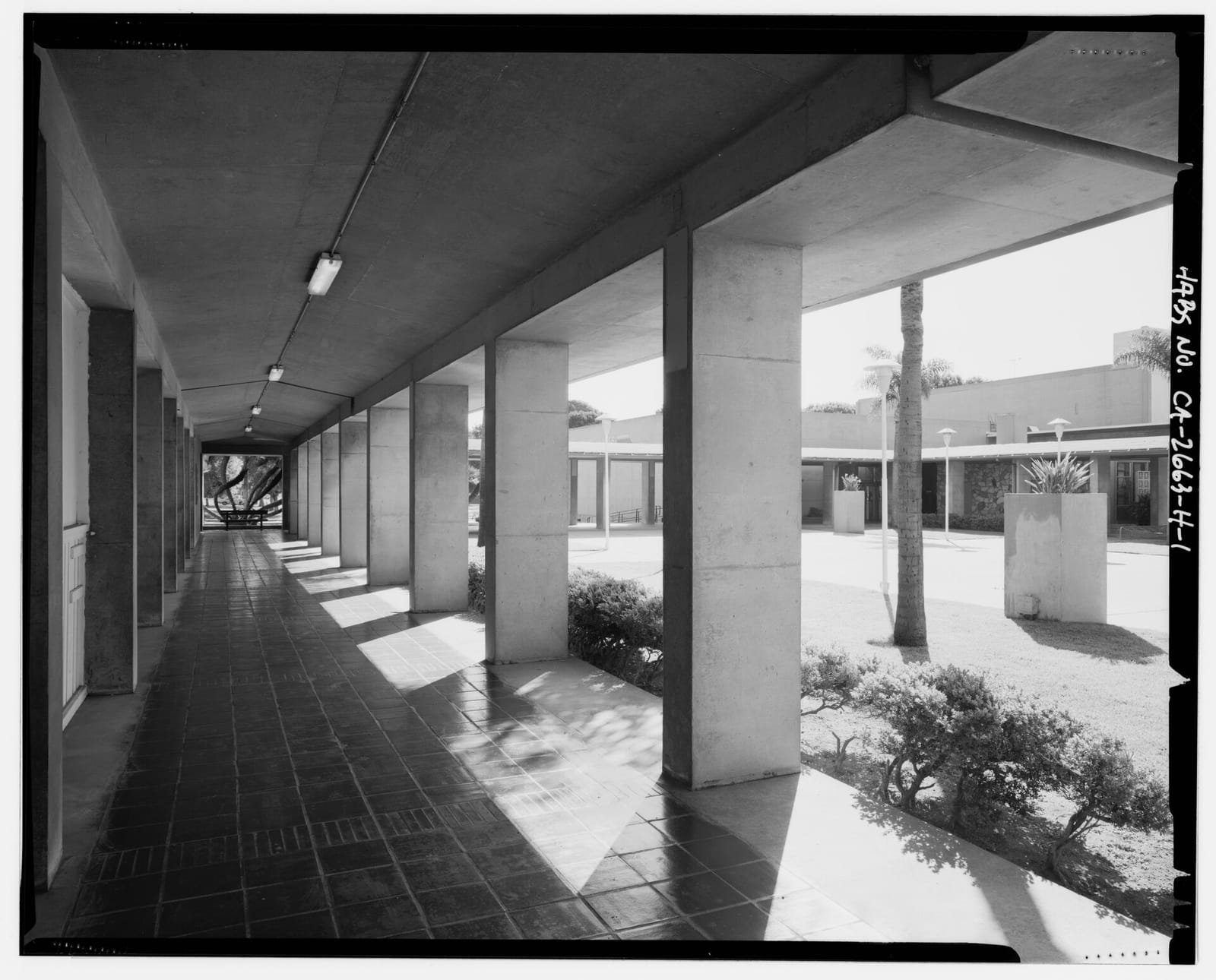 Bluestone Lane Long Beach Coffee Shop photo 5