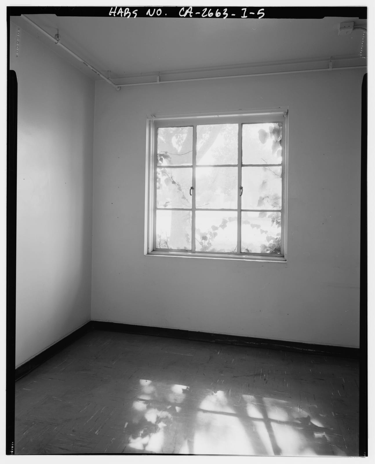 Bluestone Lane Long Beach Coffee Shop photo 3