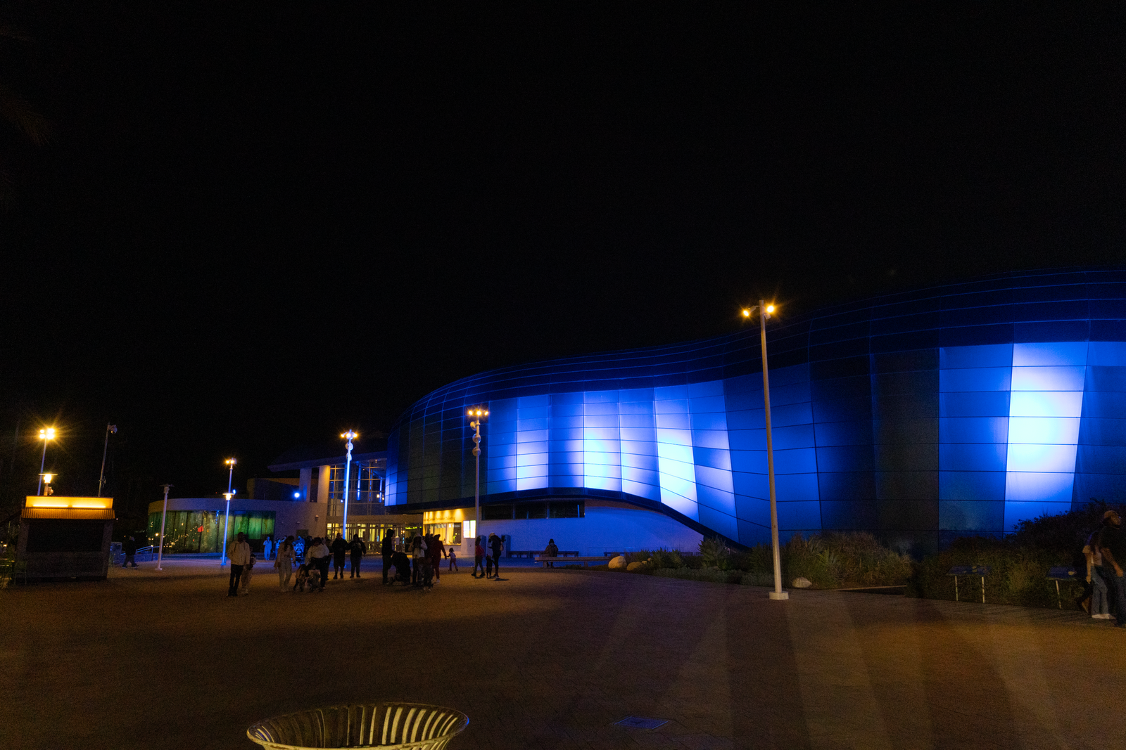 Blue Whale Cafe photo 2