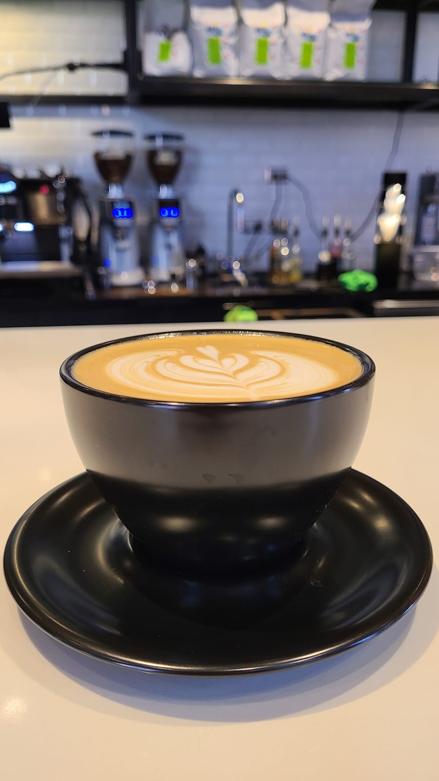 Lontra Coffee