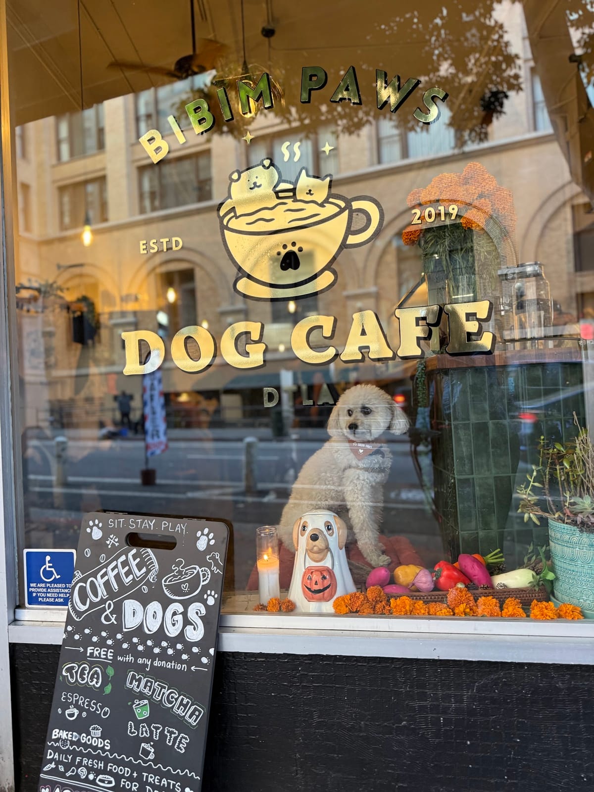 Bibim Paws Dog Cafe