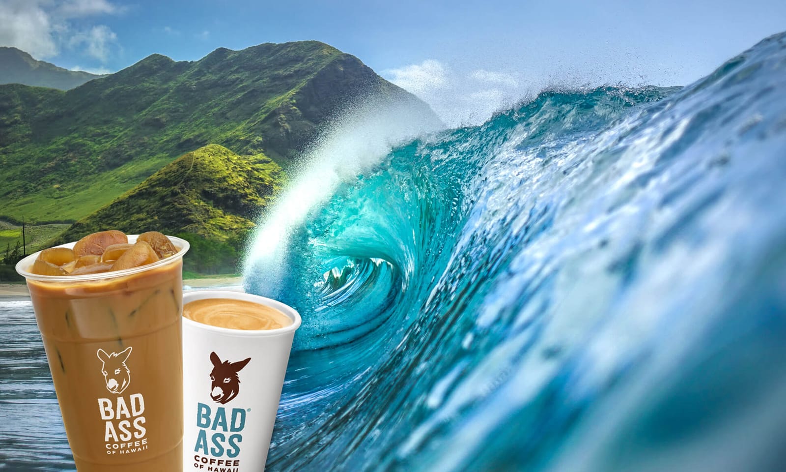 Bad Ass Coffee photo 2