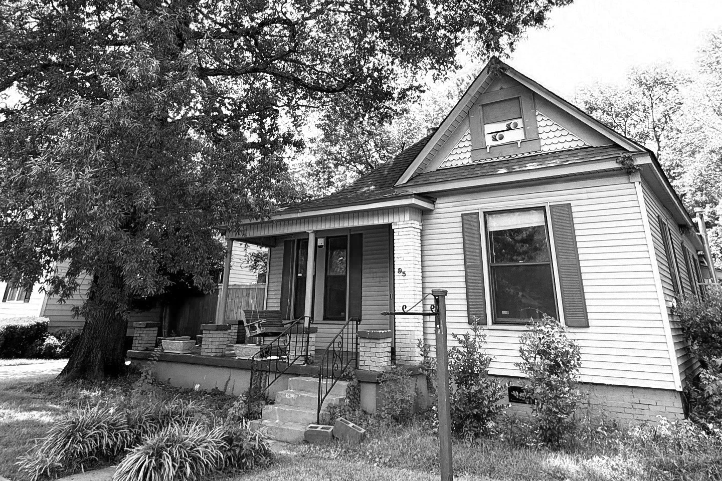 Curio Commons photo 2