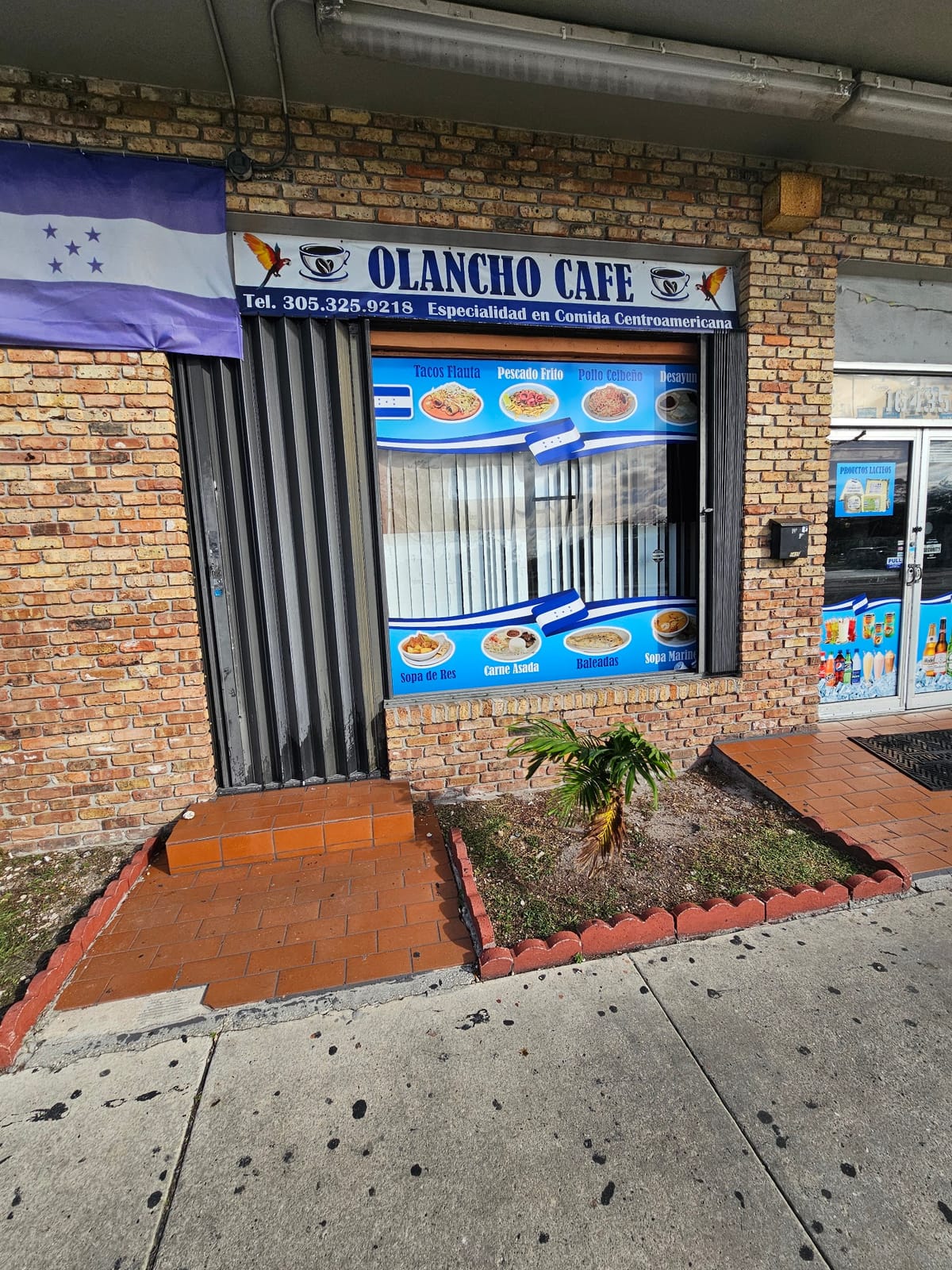 OLANCHO CAFE