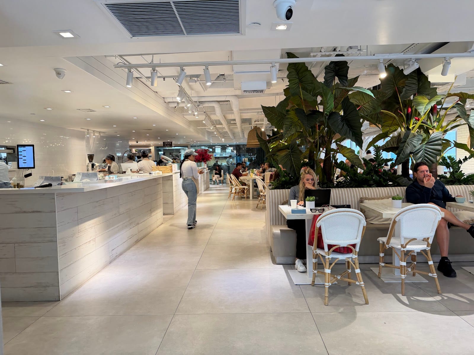 Pura Vida Miami