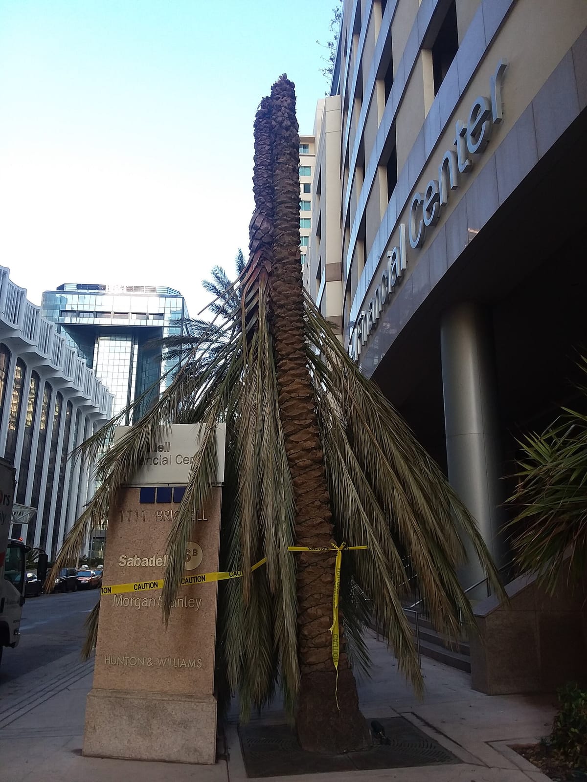 Vice City Bean Brickell photo 2