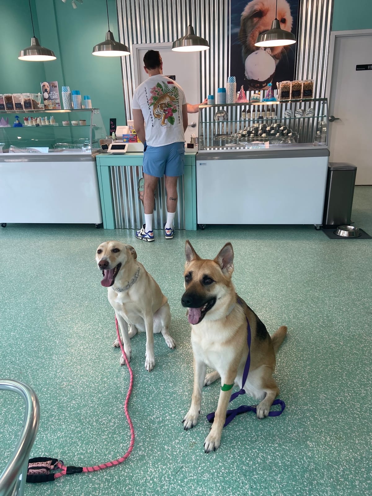 Salty Paws MKE