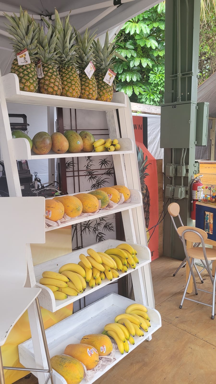 Splashy Fruits & Café photo 1