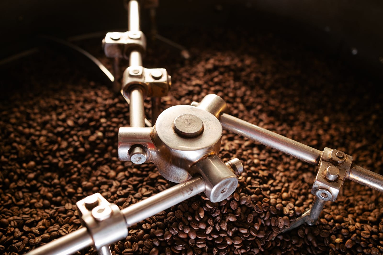 Bean Cycle Roasters photo 3