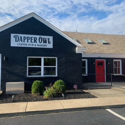 Dapper Owl photo 7