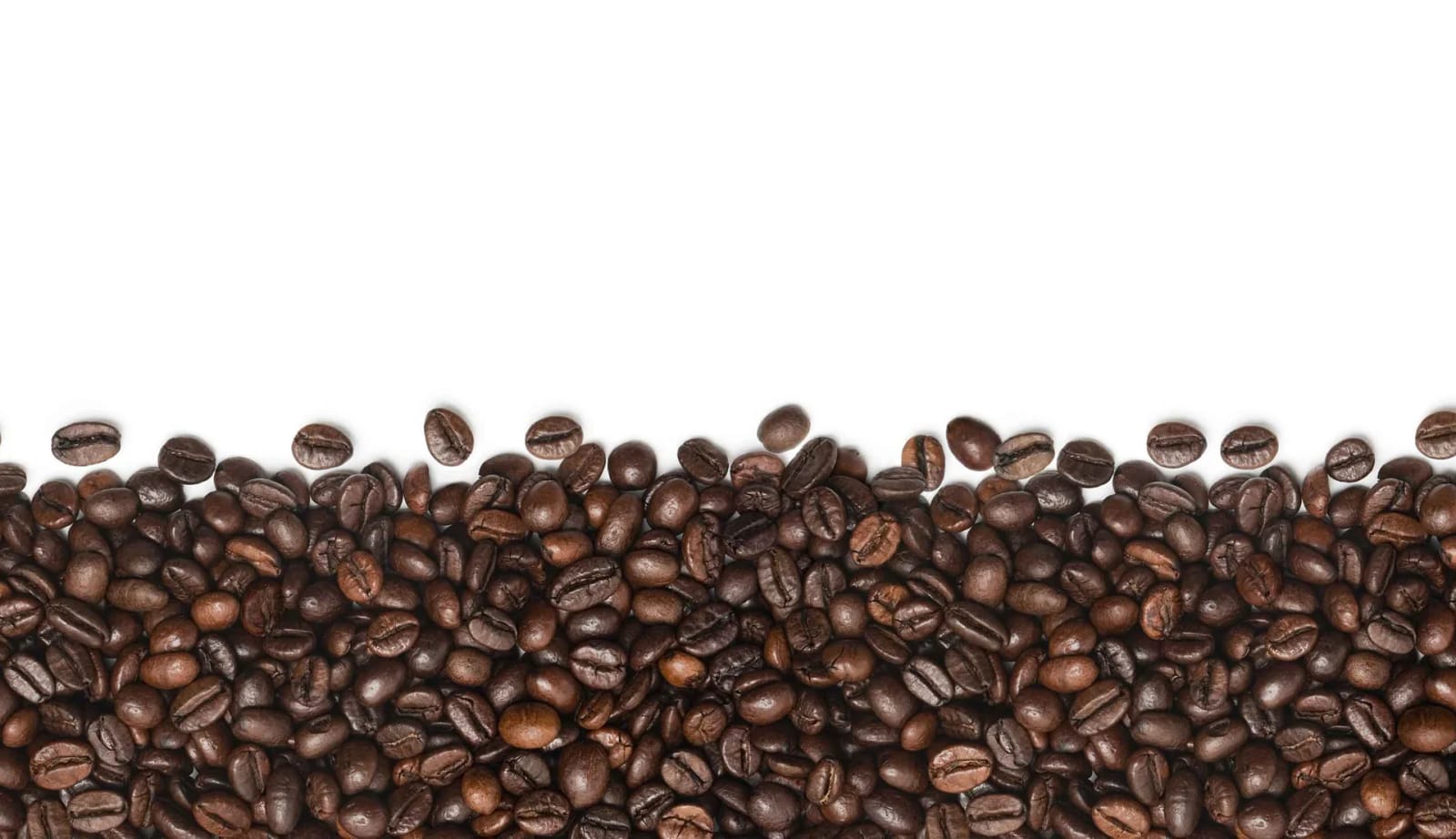 BRIM Coffee photo 3