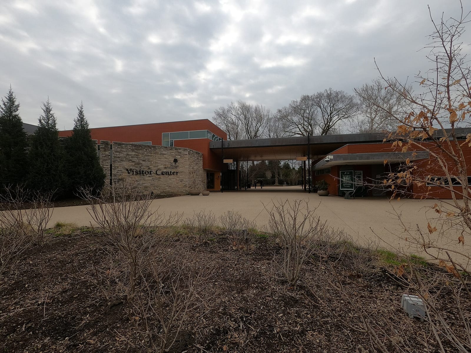 Ginkgo Restaurant and Café photo 5