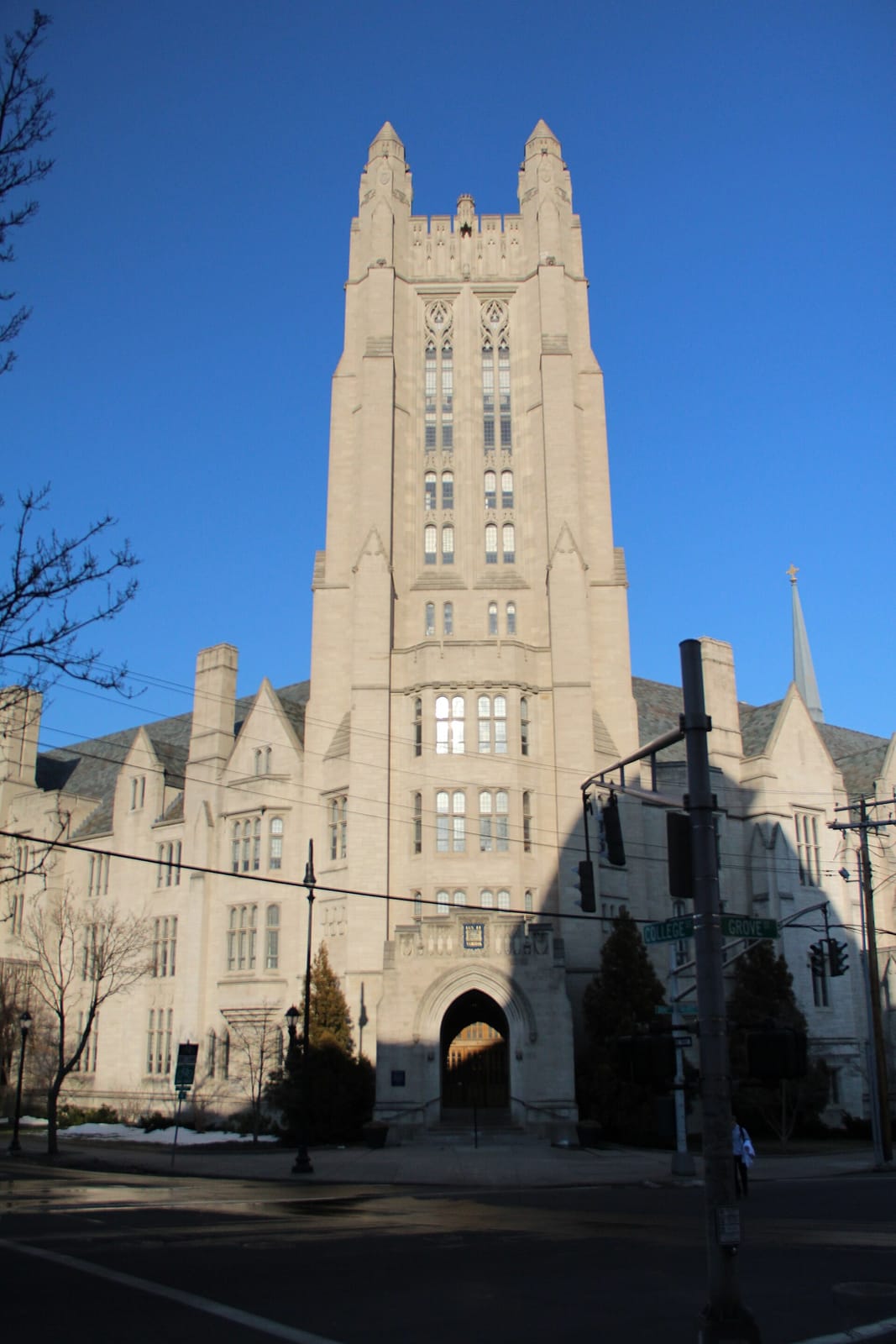 Yale Ivy photo 4