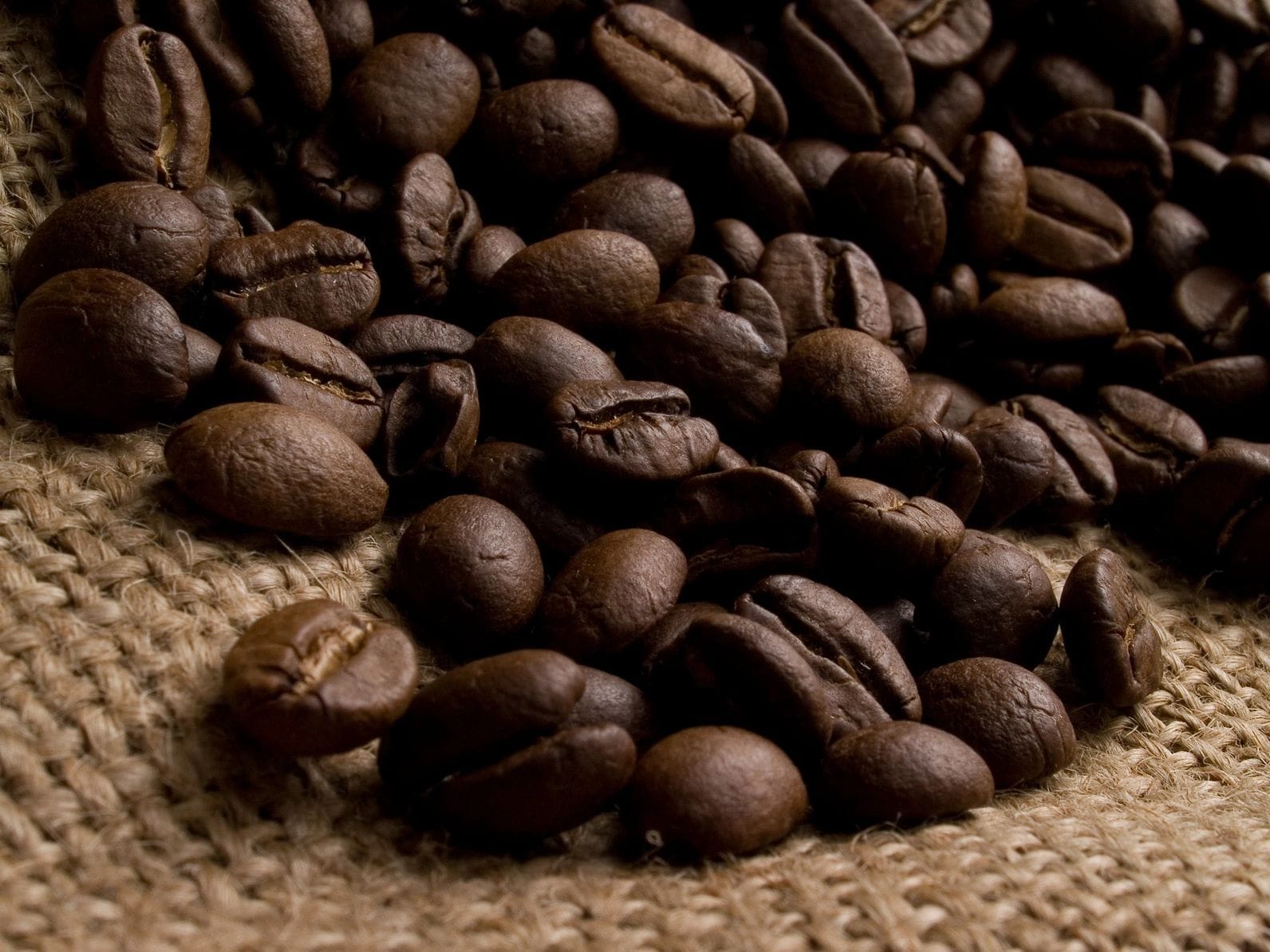 Cafe Mil Hojas photo 2