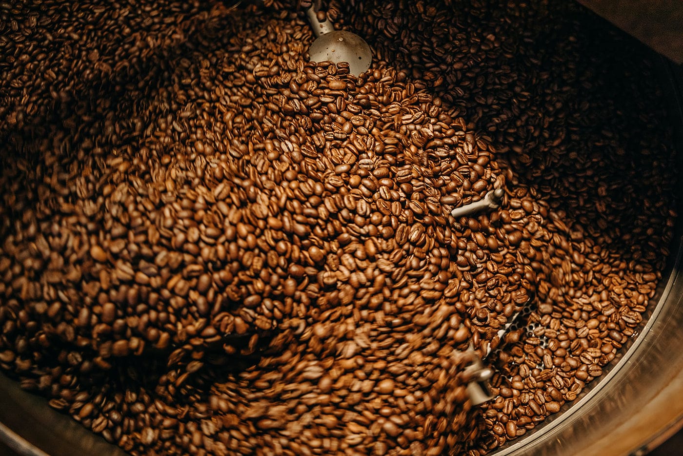 Pannikin Coffee & Tea photo 6