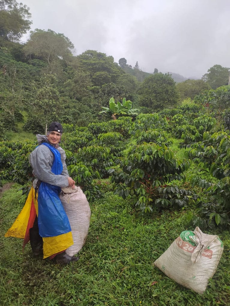 Futura Coffee Roasters photo 4