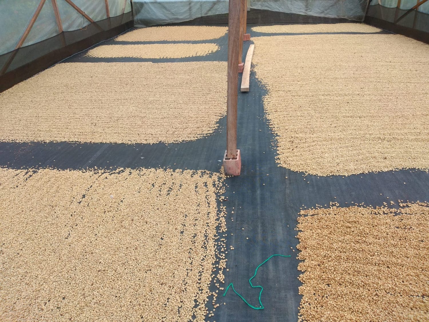 Futura Coffee Roasters photo 8