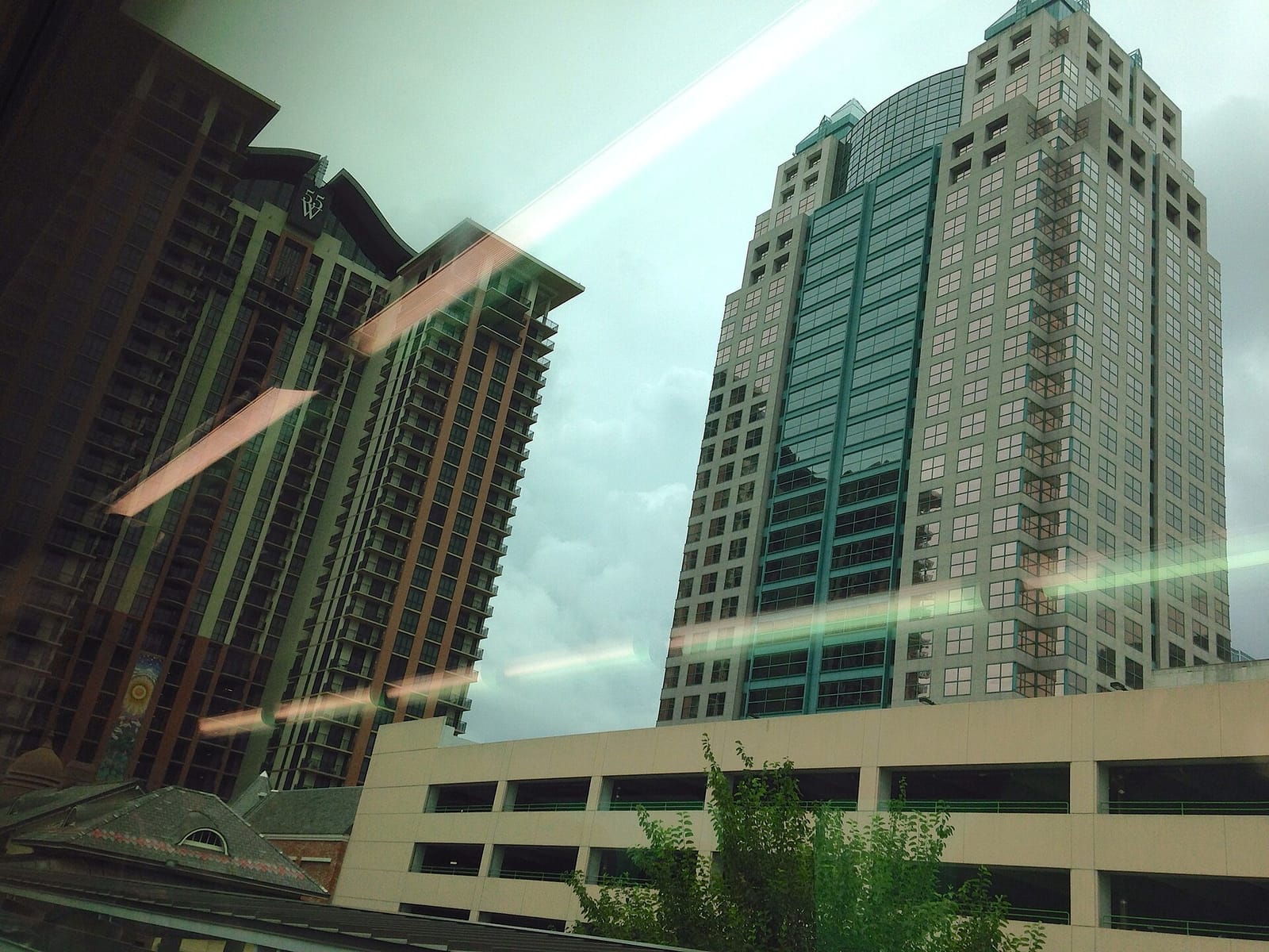 Foxtail Coffee - Truist Tower - Downtown Orlando photo 3