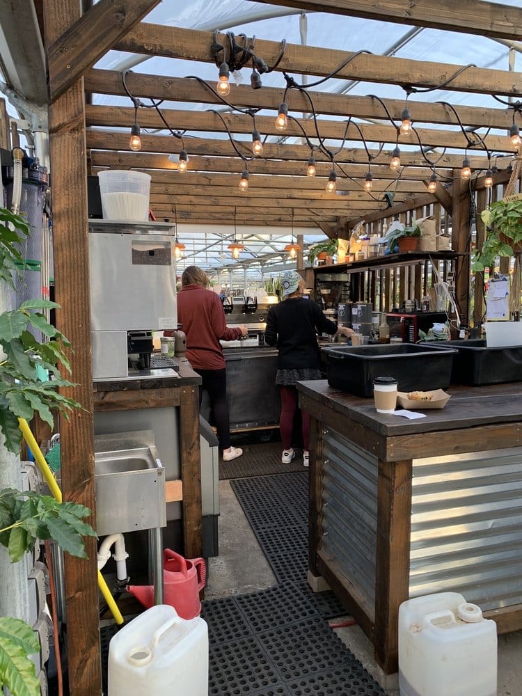 Café Equinox