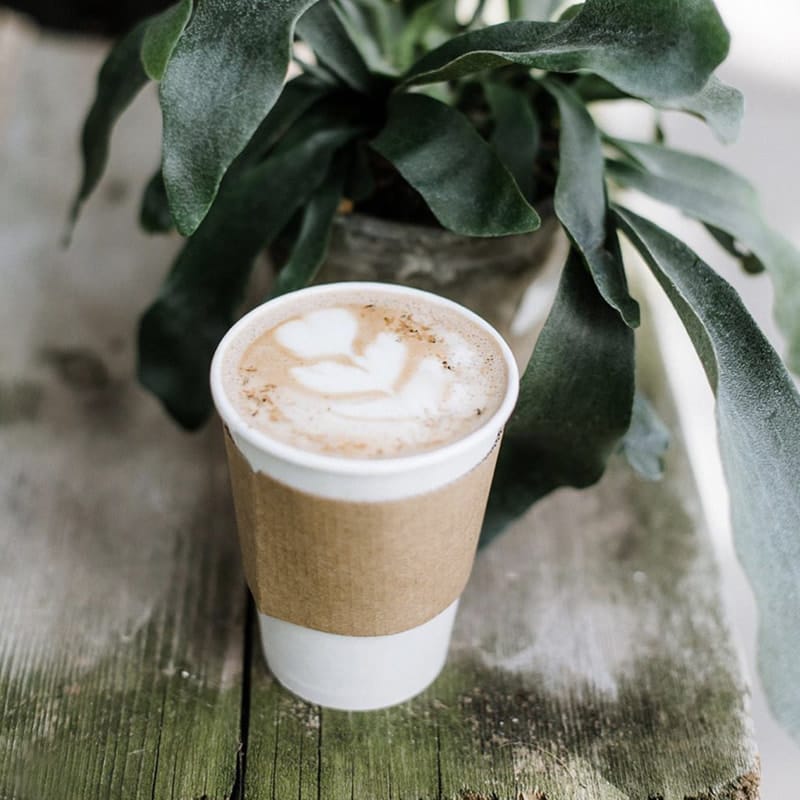 Café Equinox photo 4