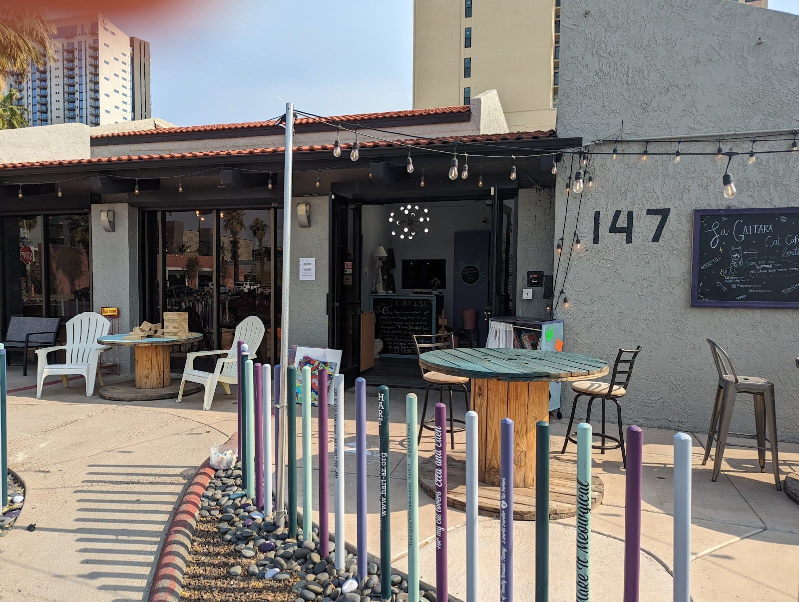 PHX Cat Cafe- Online Reservations Required