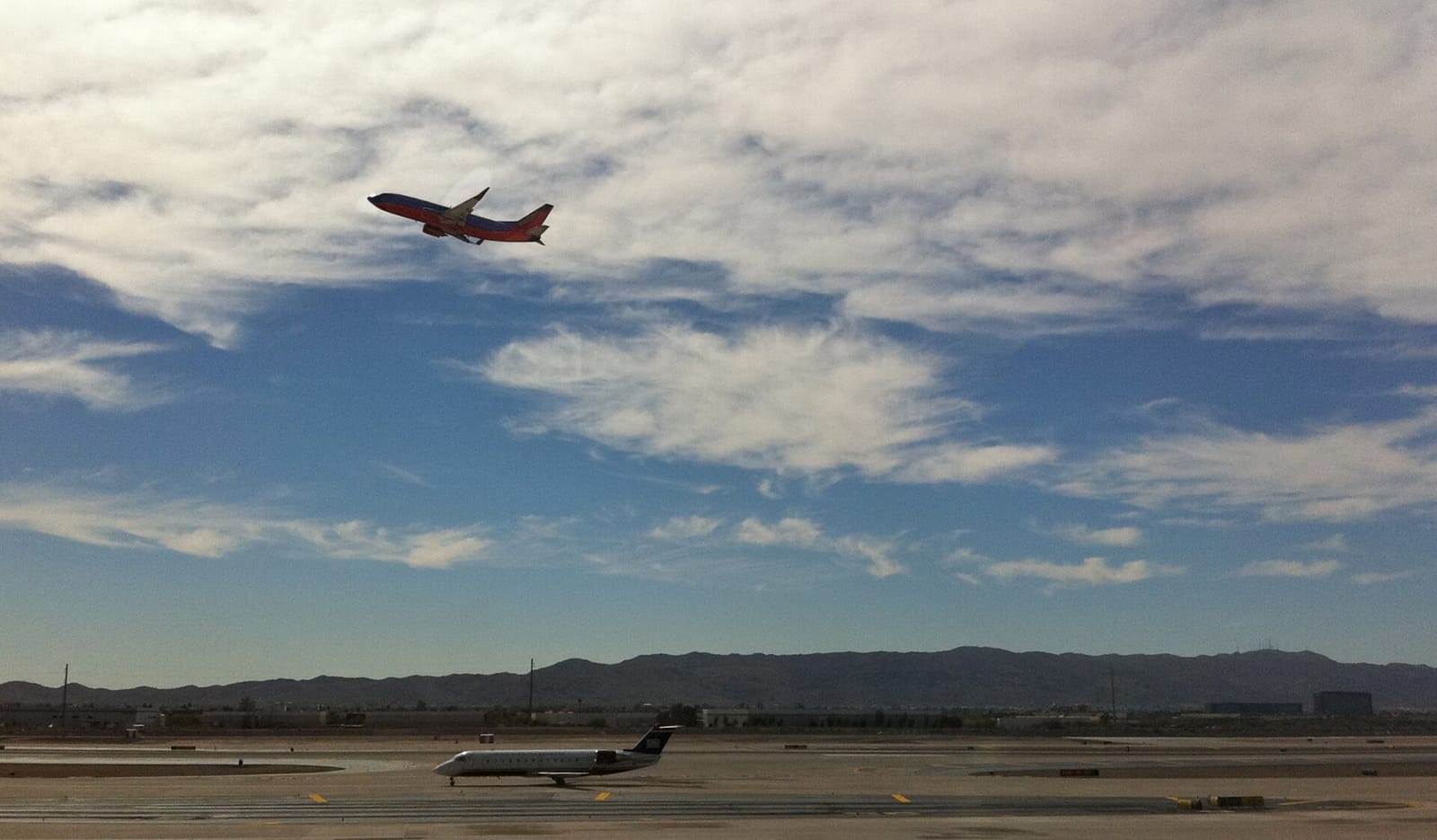 Barrio Cafe Sky Harbor photo 4