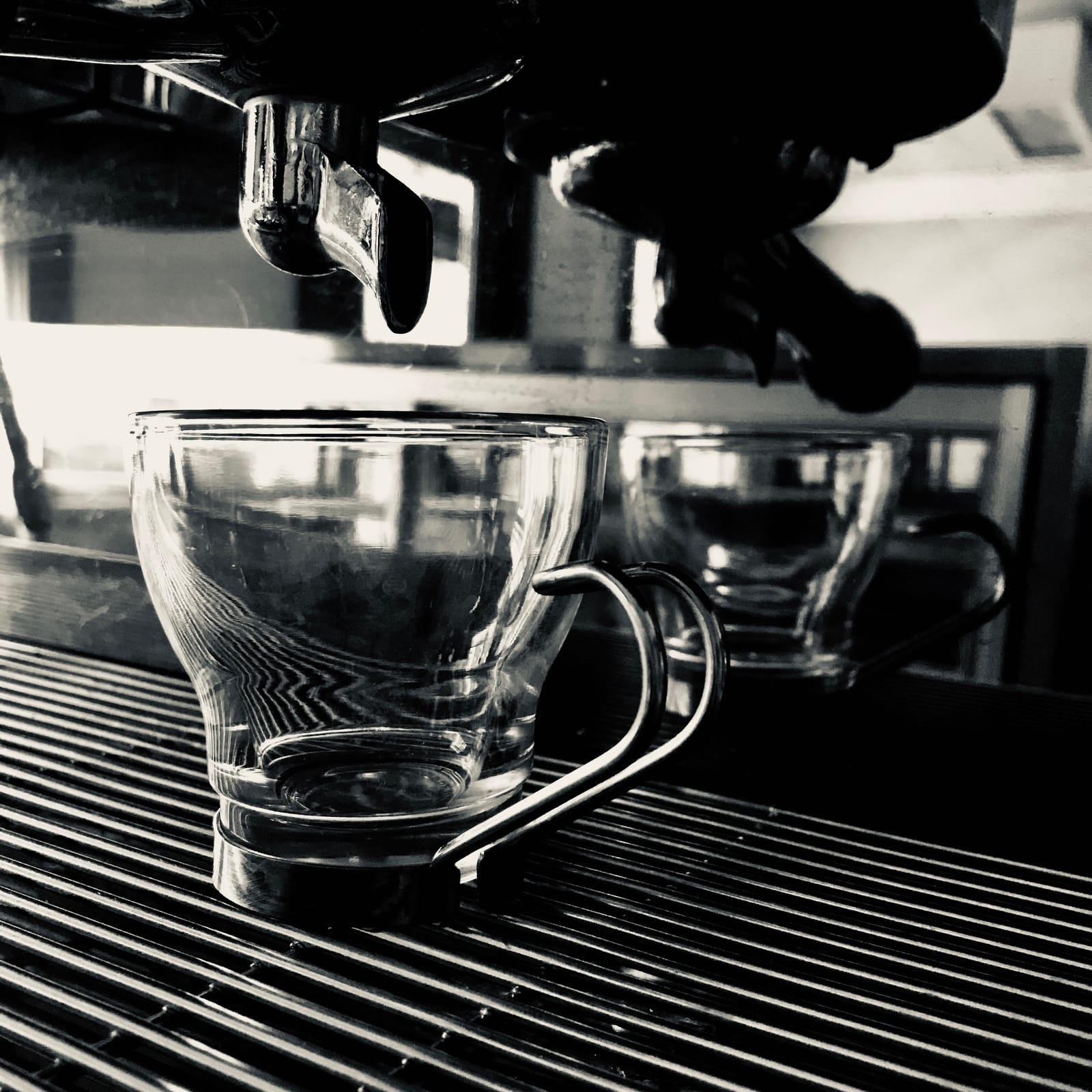 The Garden Cafe photo 6