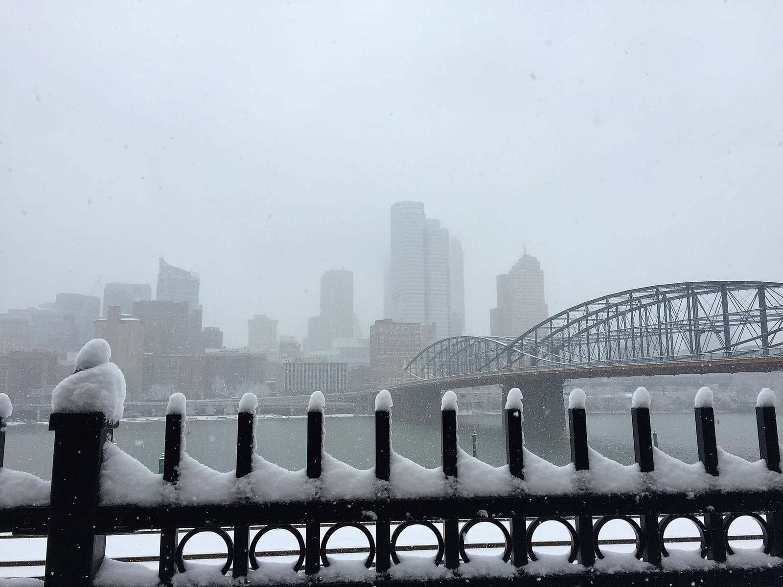 YINZ Coffee Station Square photo 5