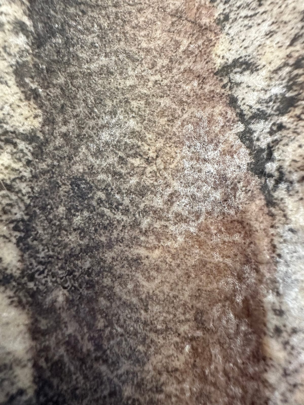 The Daily Planet Cafe photo 3