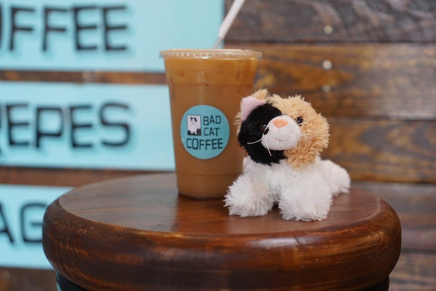 Bad Cat Coffee, Crepes, & Bagel Sammiches photo 2