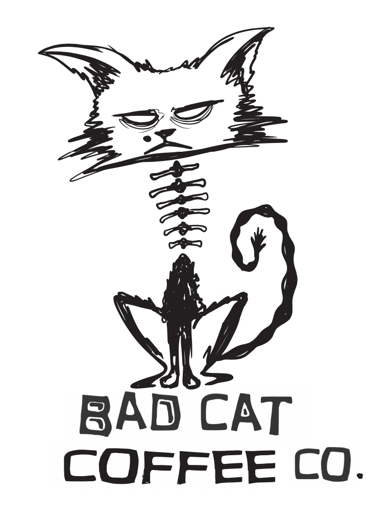Bad Cat Coffee, Crepes, & Bagel Sammiches photo 3