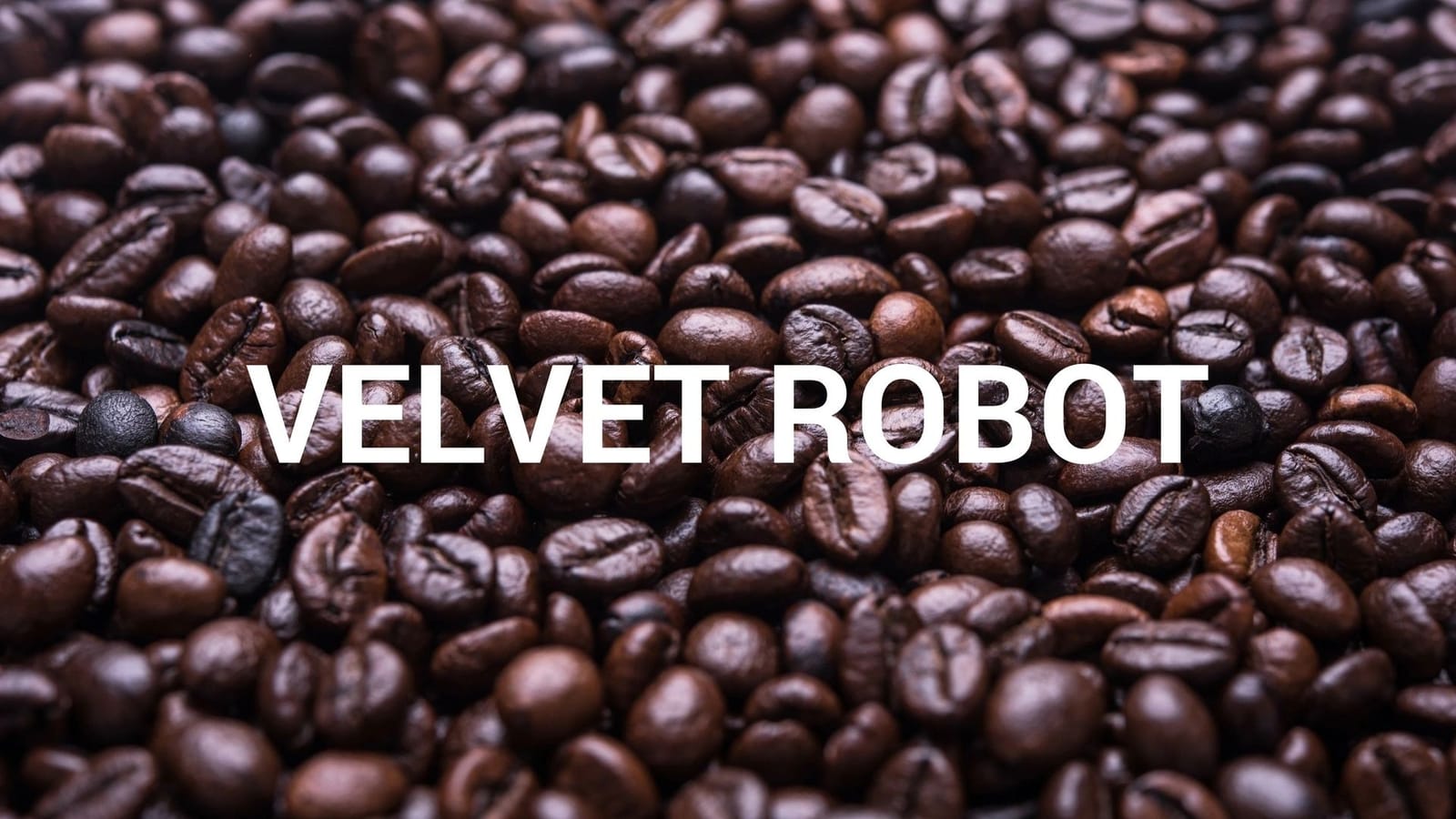 Velvet Robot Coffee Lab photo 2
