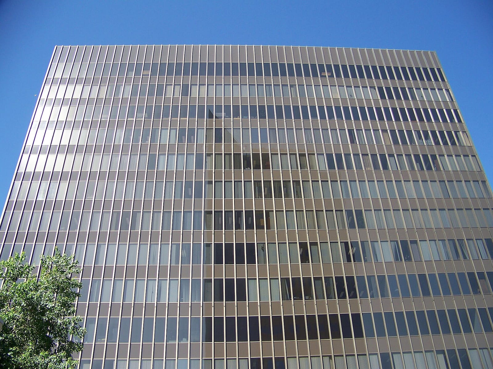 Old Soul Co. Capitol Mall photo 3