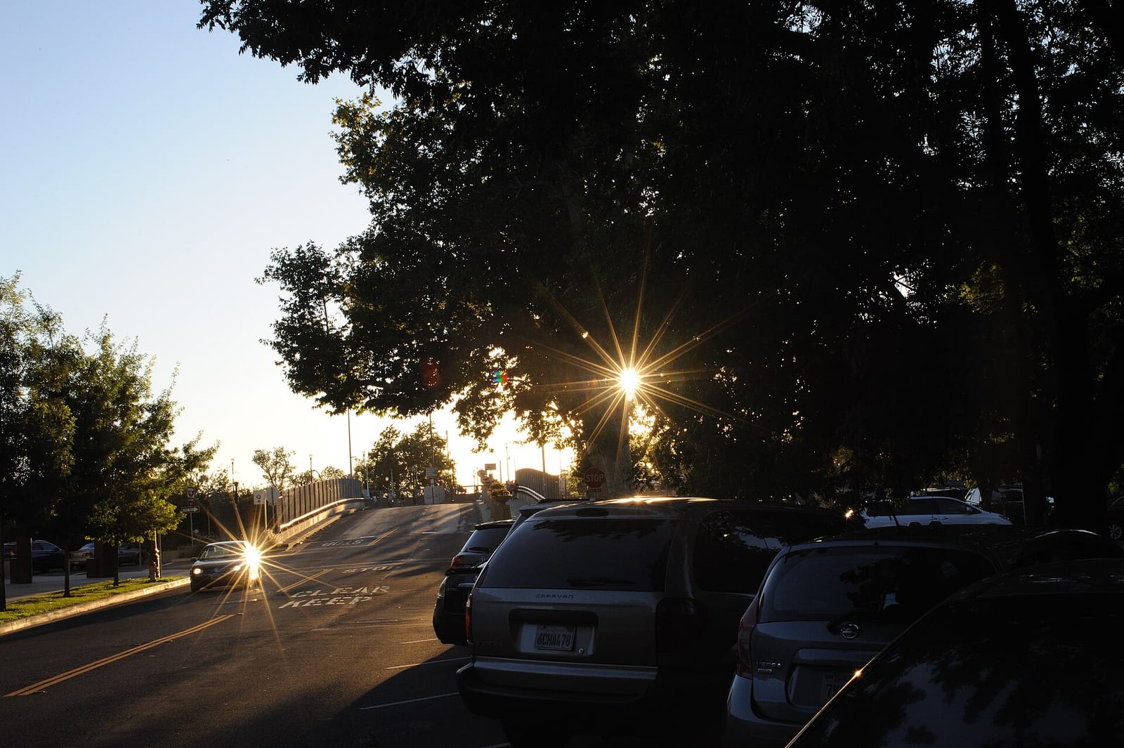 Crocker Cafe photo 5