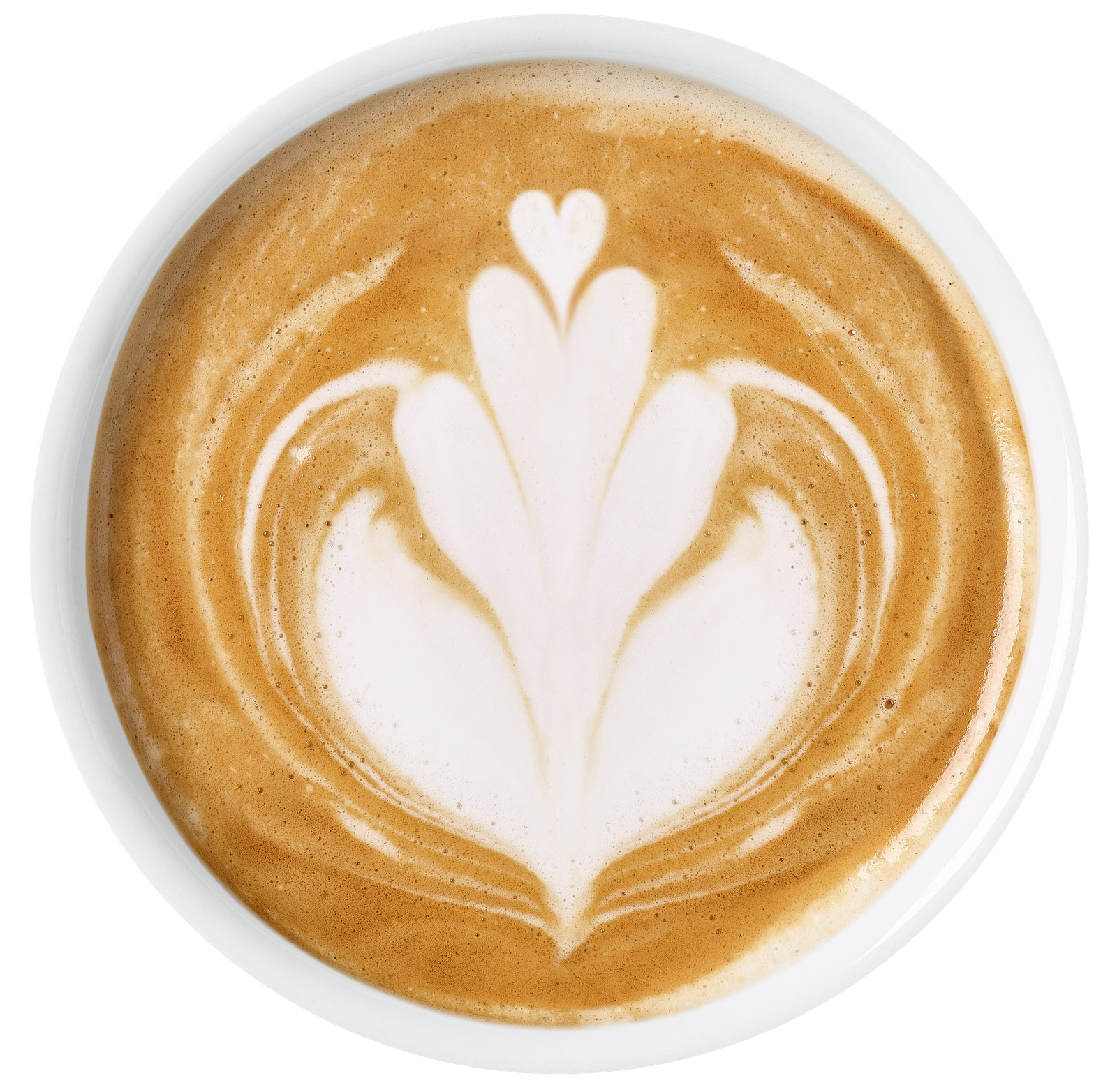 Flava Coffee & Cafe photo 5