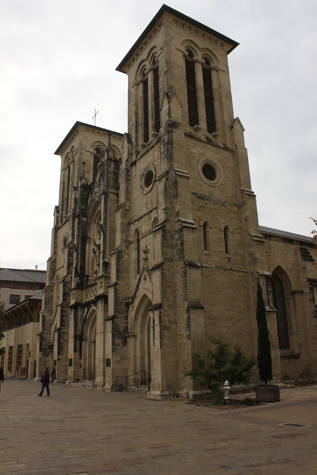 Cathedral Saga Cafe photo 4