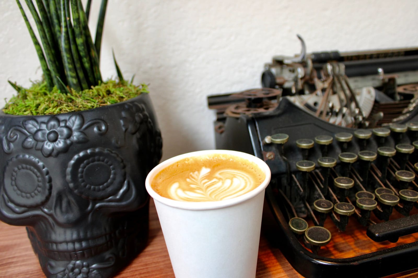 Kuma Café photo 5