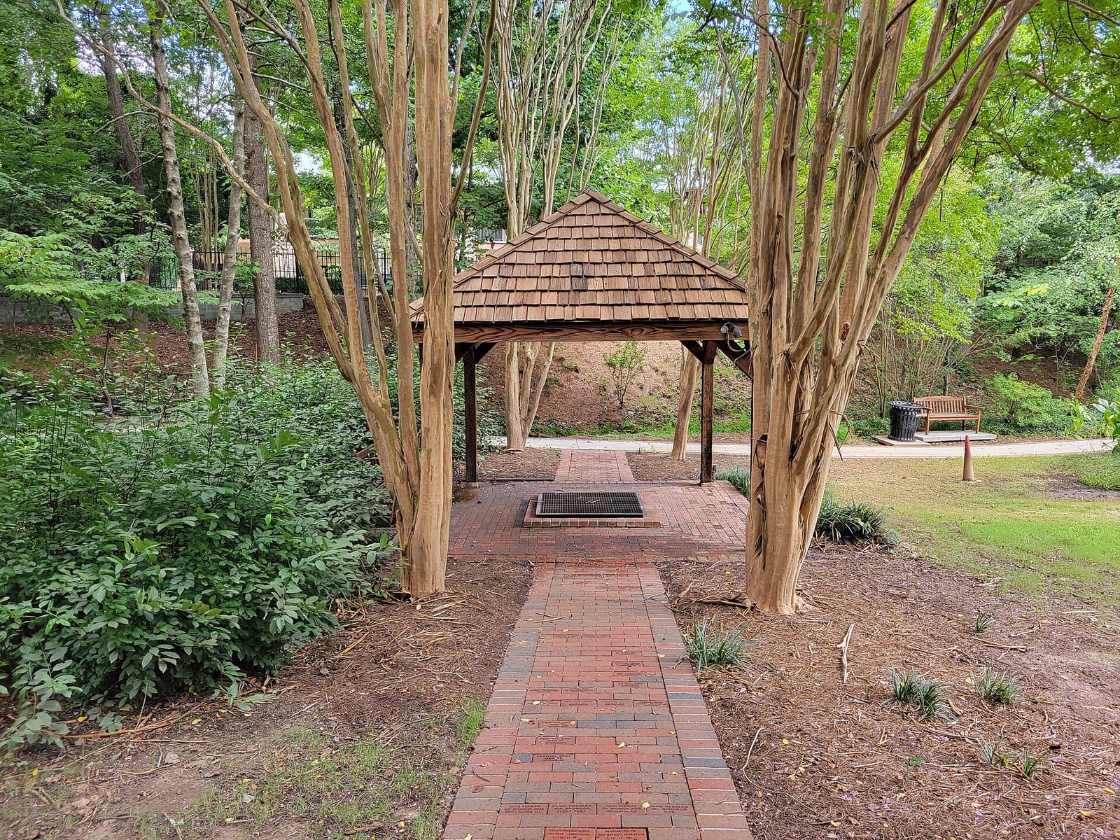 Summit Coffee Sandy Springs photo 3