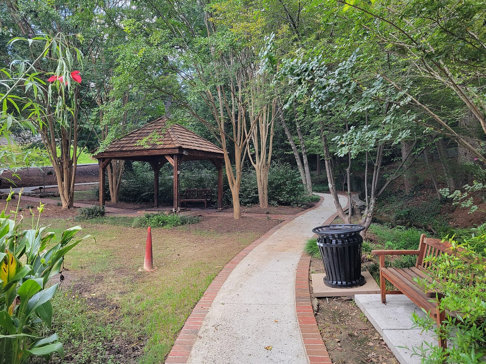 Summit Coffee Sandy Springs photo 4