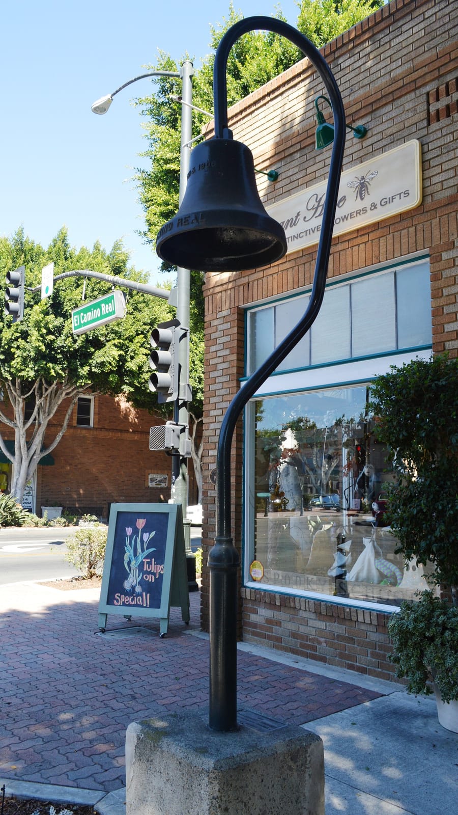 Hola Adios Coffeeshop photo 6
