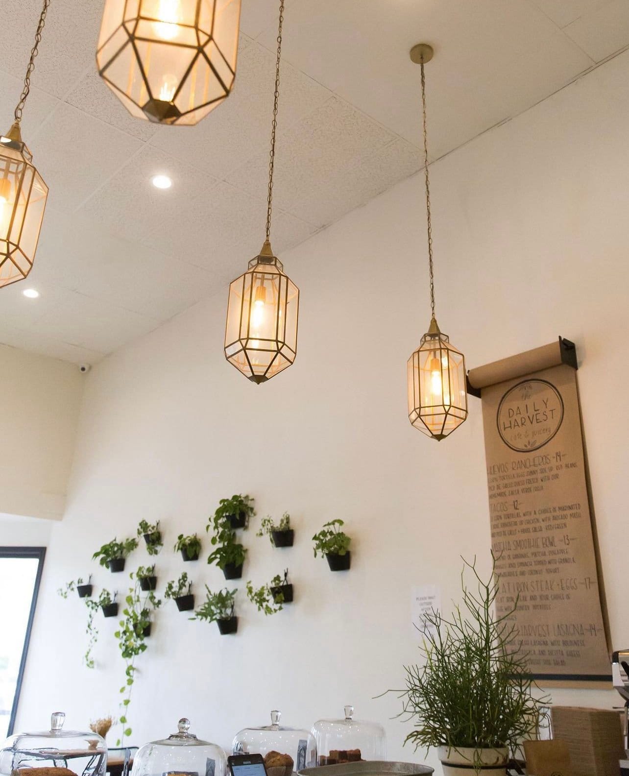 The Daily Harvest Cafe & Juicery photo 8