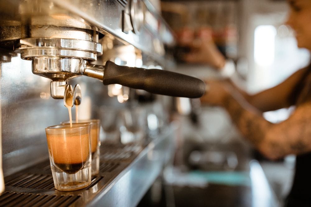 White Dog Coffee