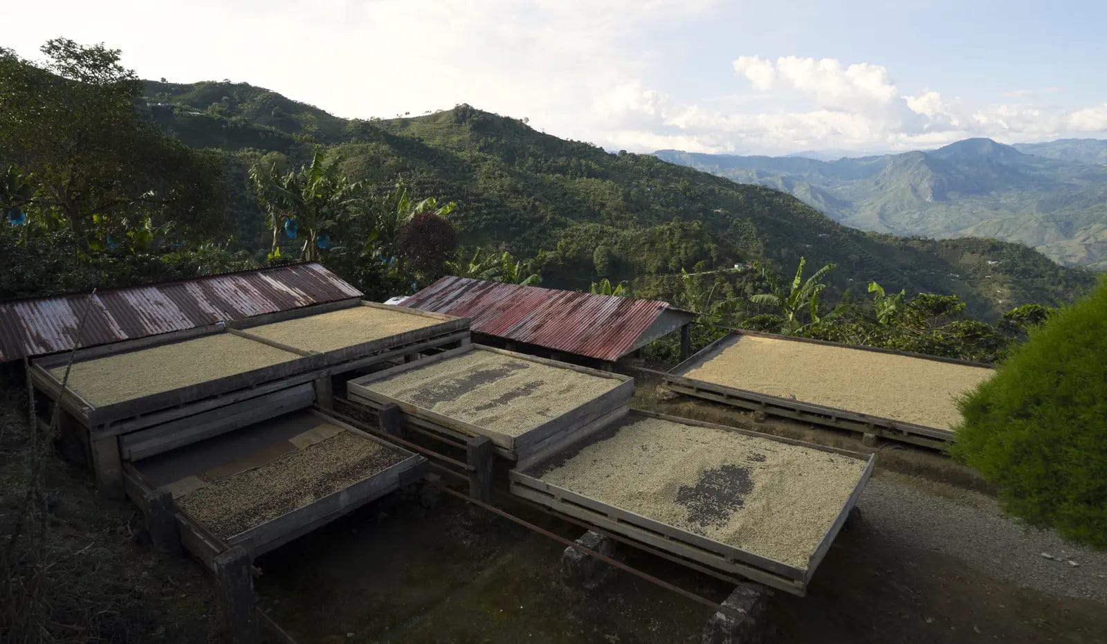 Coffee Manufactory photo 3