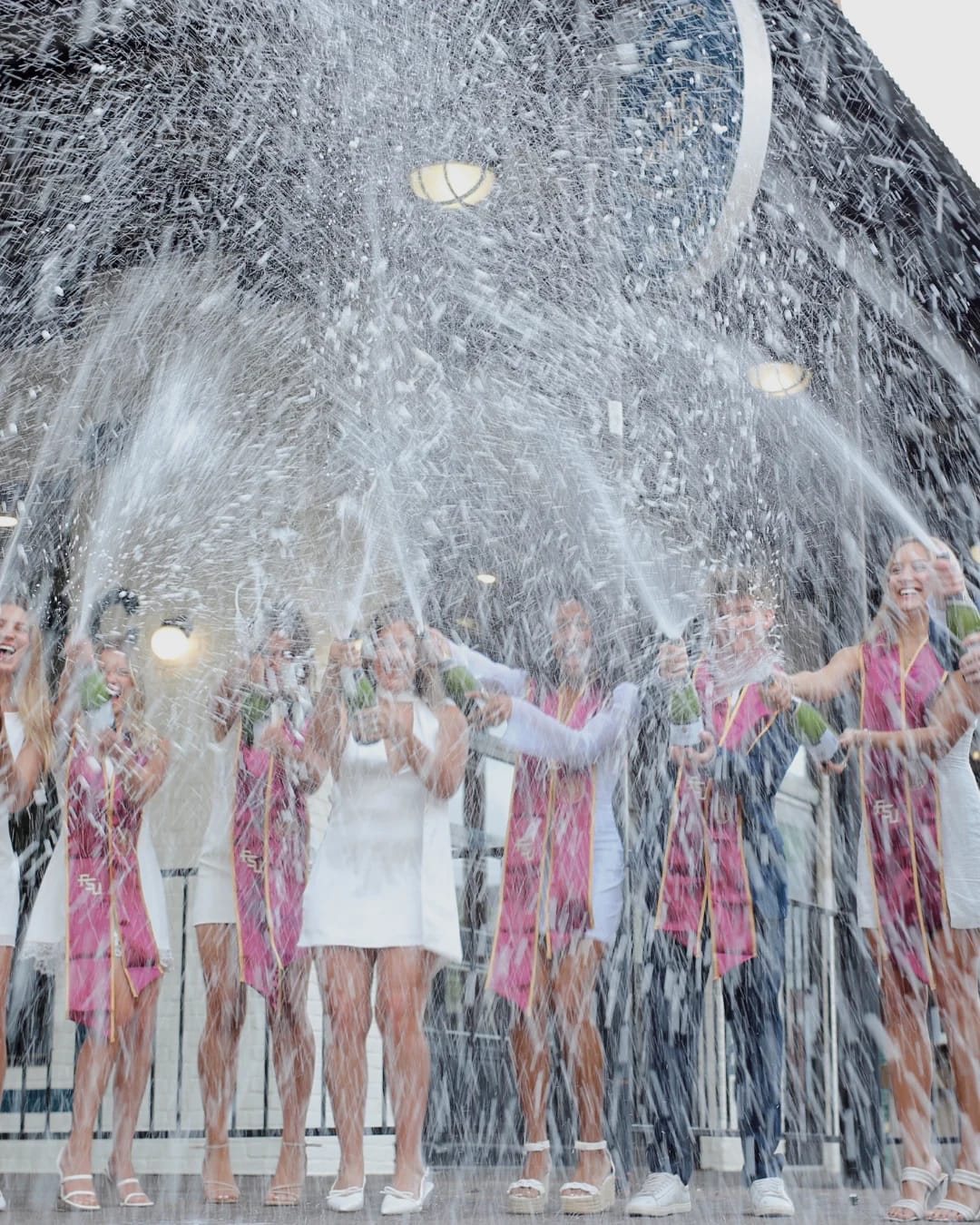 Vice Society photo 3