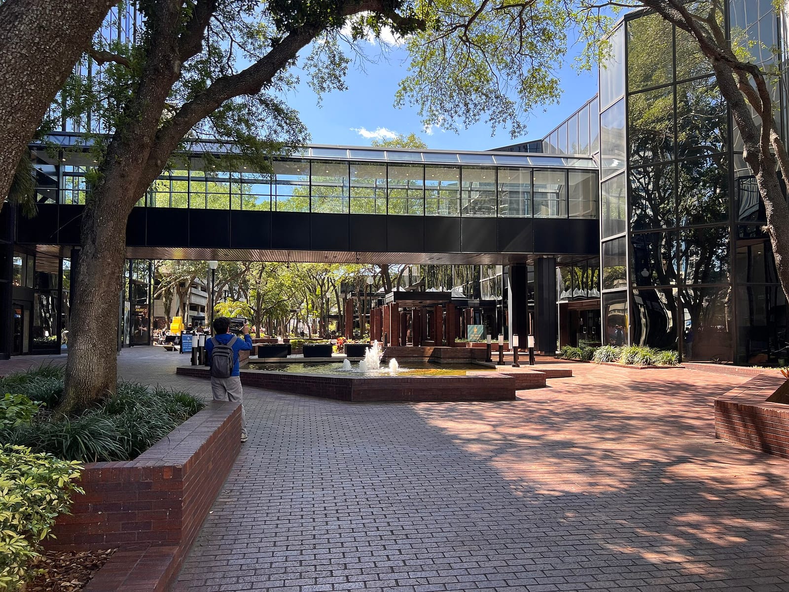 Blind Tiger Coffee Roasters - Tampa City Center Cafe - Coffee Shop photo 3