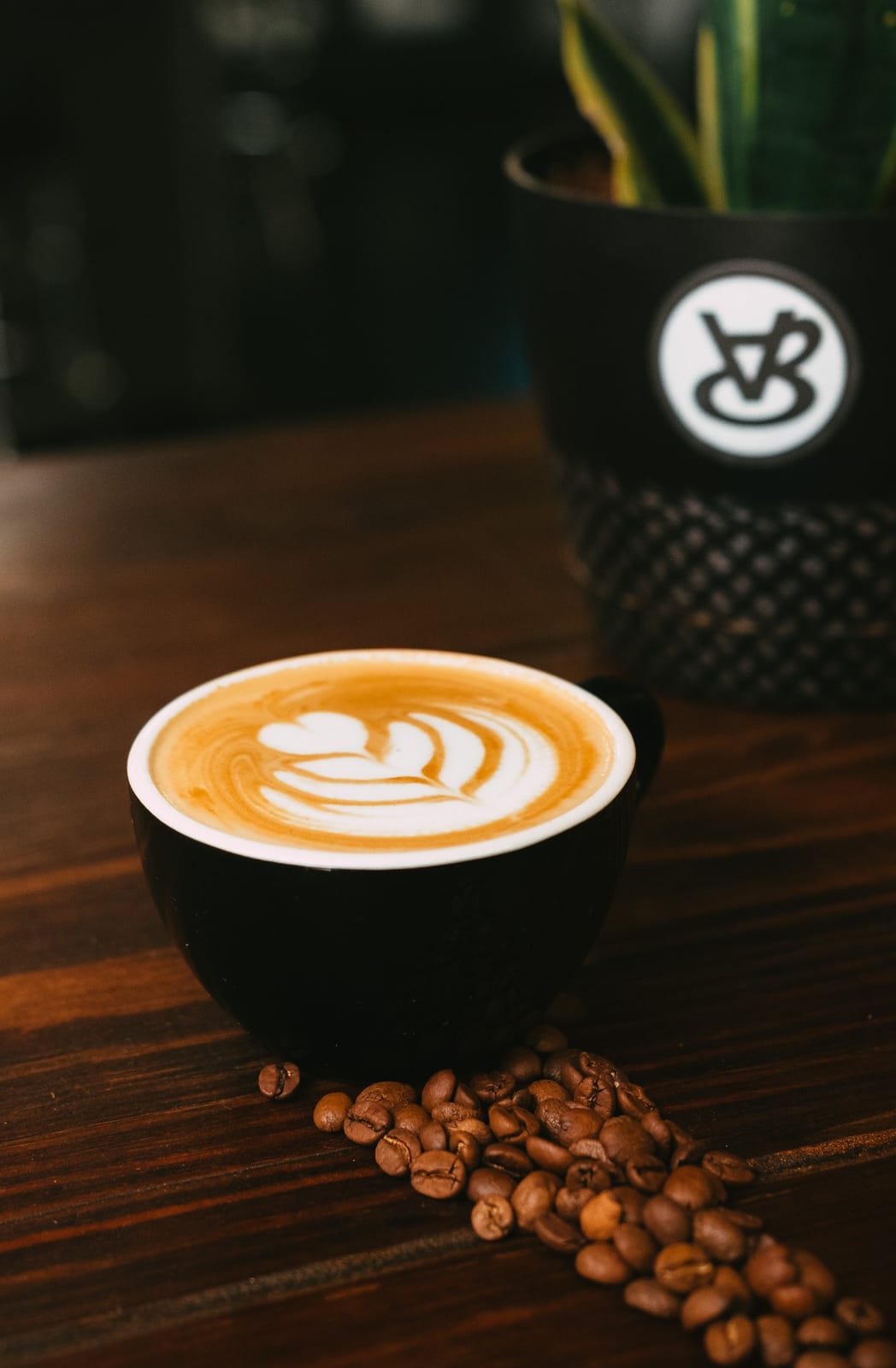 The Lab Coffee - West Tampa photo 3