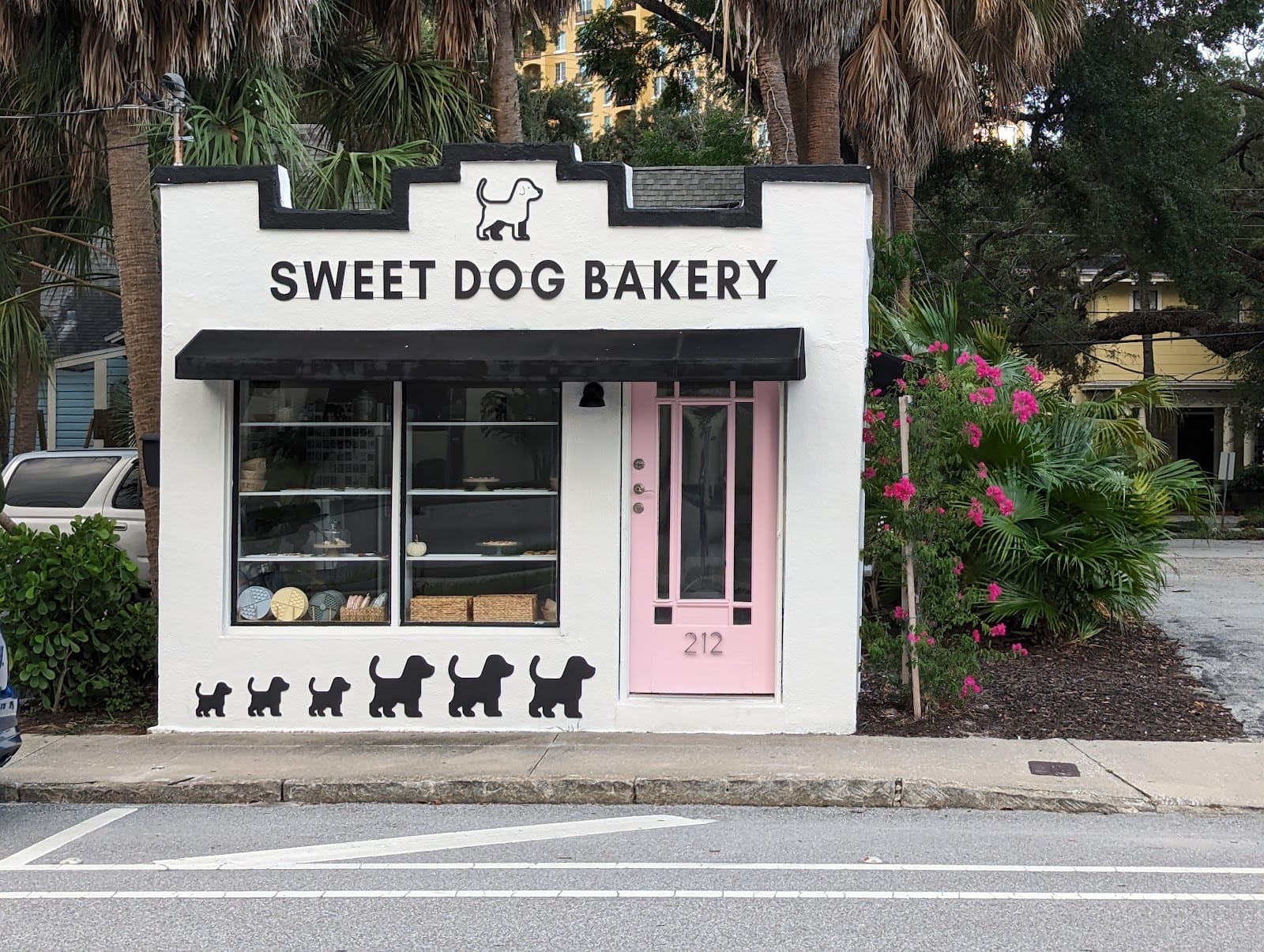 Sweet Dog Tampa
