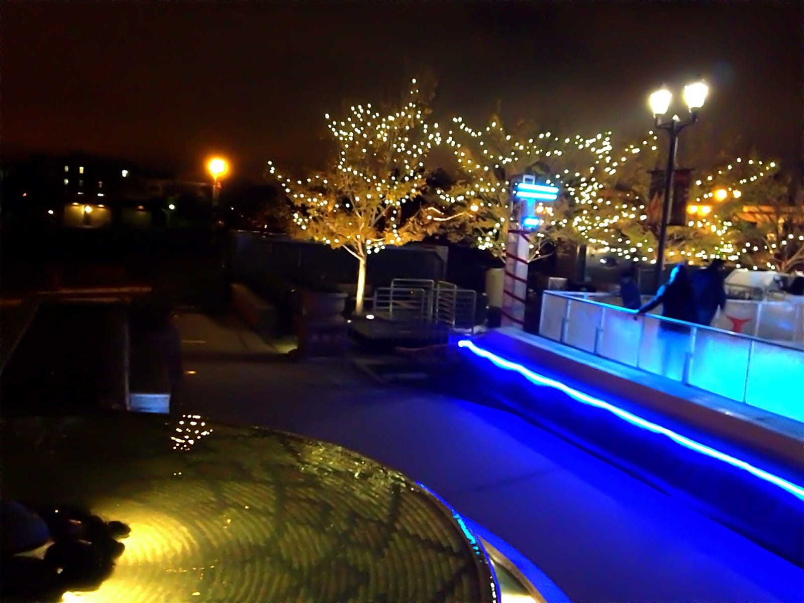 The cafe photo 5