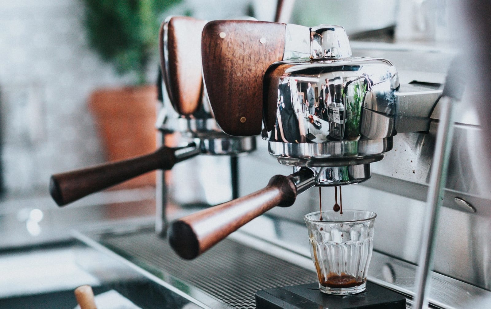 Gio's Coffee, Organic photo 2