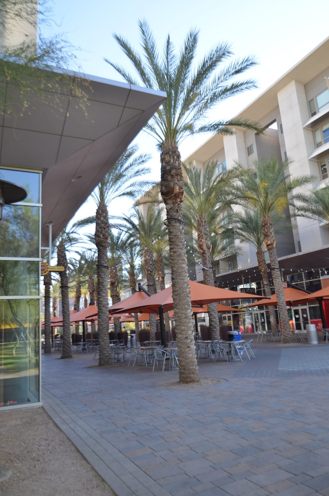 The Cafe at Vista photo 3